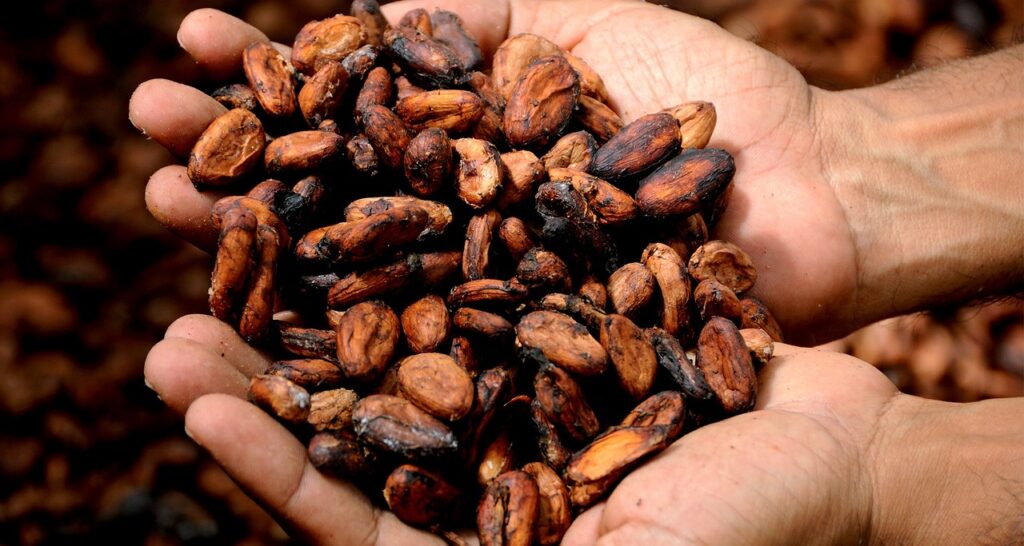 Cocoa Prices Pressured by Adequate Supplies and Tepid Demand
