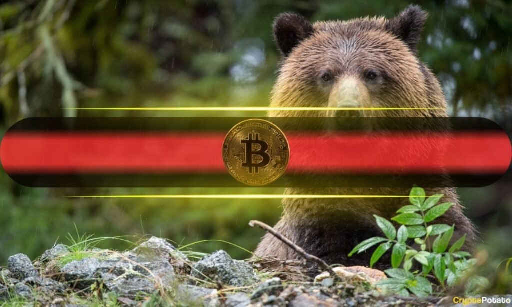 Bitcoin's Key Resistance Stall Could Send it Tumbling Much Lower: Analysts