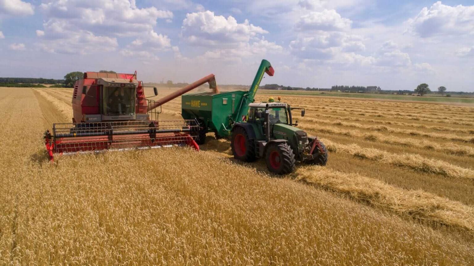 Wheat Rallies the Limit on Tuesday as USDA Releases Production Updates
