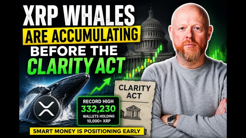 XRP Whales Are Accumulating Before the CLARITY Act