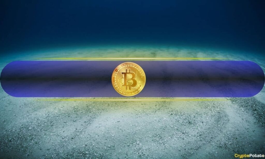 Is Bitcoin Bottoming Out? Long-Term Indicators Shift as Short-Term Pain Persists: Fidelity Is Bitcoin Bottoming Out? Long-Term Indicators Shift as Short-Term Pain Persists: Fidelity